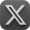 x logo